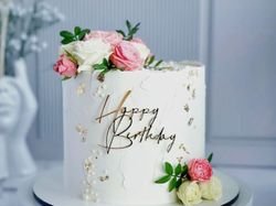 Toro Cake
