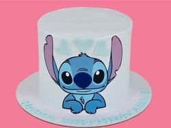 Stitch Cake 4