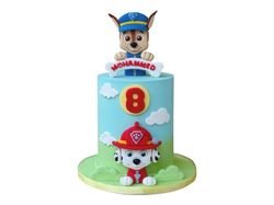 Roblox Cake 6