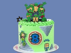 NINJA TURTLES CAKE 1