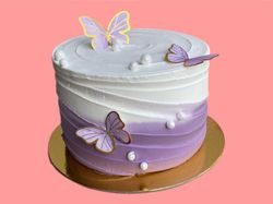 Butterfly Cake 1