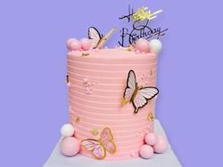 Butterfly Cake 3