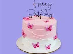 Butterfly Cake 4