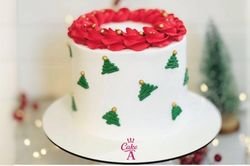Christmas Cake 5