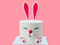 Rabbit Cake 3