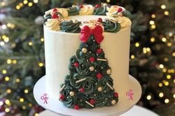 Charisma Cake 6