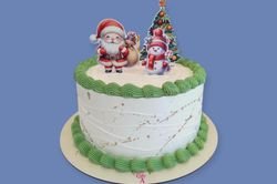 Christmas cake 9