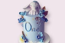 First Birthday Cake