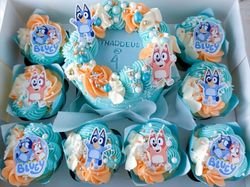 Blue Bento with Cupcakes box