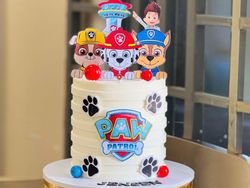 Paw Patrol Cake 3