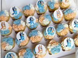 Bluey mini cupcakes