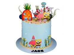 Sponge Pop Cake