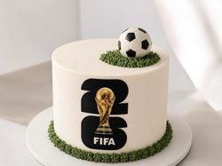 FIFA Cake