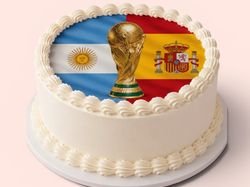 FIFA World Cup Final Cake
