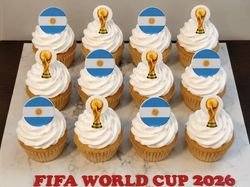 Argentina FIFA World Cup Cupcake