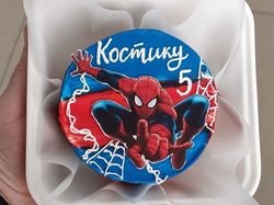 Bento Spider Cake 1